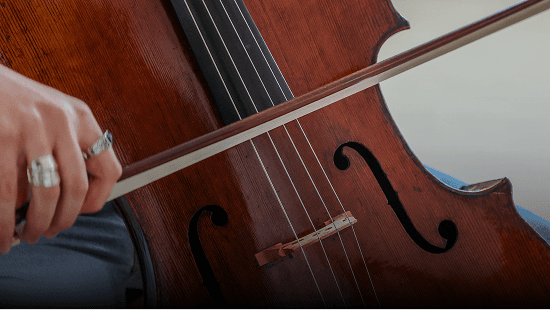 Discover the Programme