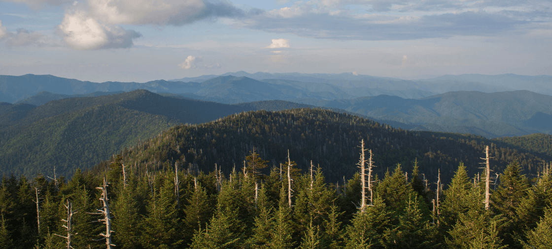 Can nature inspire a composition?